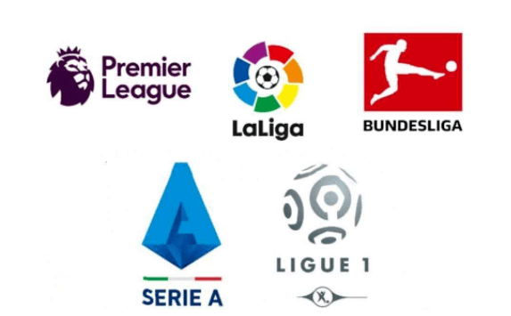 同时也展示 同时也展示